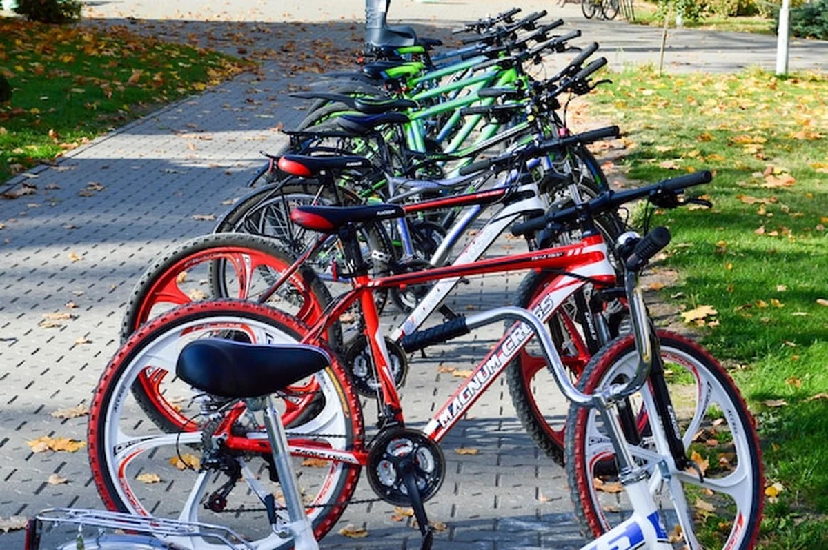 Piękne sportowe rowery górskie w wielu kolorach zaparkowane rzędem