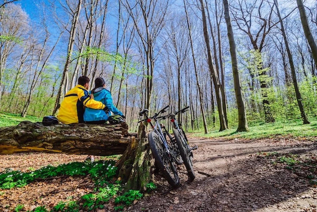 Para siedzi na pniu w lesie